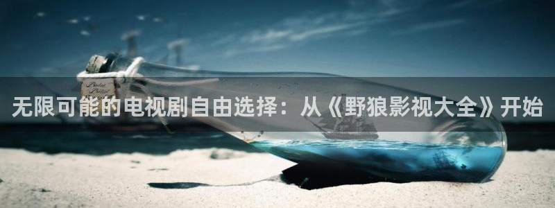 欧美伦理影院大全：无限可能的电视剧自由选择：从《野狼影视大全》开始