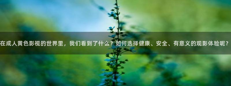 国产伦理视频免费：在成人黄色影视的世界里，我们看到了什么？如何选择健康、安全、有意义的观影体验呢？