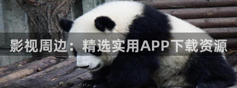 6080午夜伦理影院：影视周边：精选实用APP下载资源